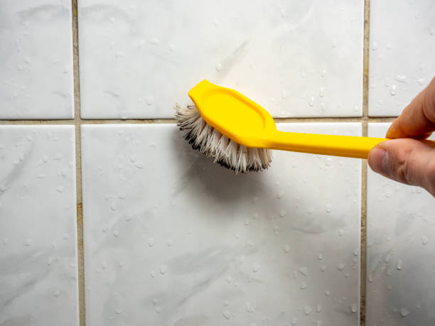 Best Mold Remediation for Specific Building Types in Camp Swift, TX
