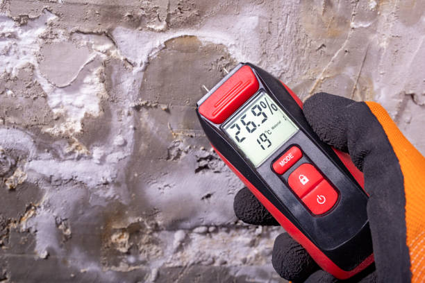 Professional Mold Remediation in Camp Swift, TX