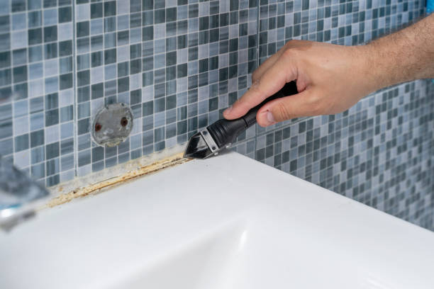 Best Insurance-Related Mold Remediation in Camp Swift, TX